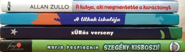 Ifjsgi regnycsomag
