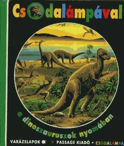 Csodalmpval a dinoszauruszok nyomban
