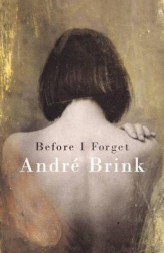 Andr� Brink - Before I Forget
