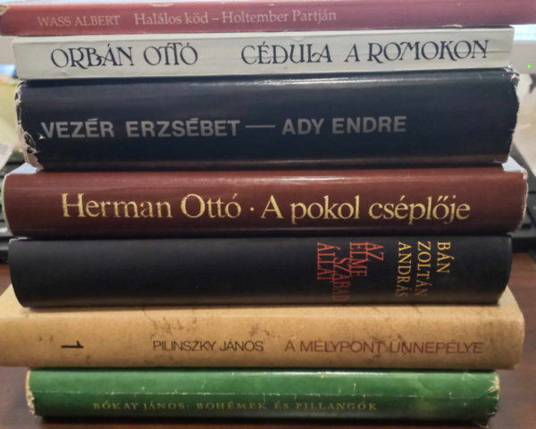 7 db-os magyar irodalom knyvcsomag: Hallos kd-Holtember Partjn, Cdula a romokon, Ady Endre, A pokol csplje, Az elme szabad llat, A mlypont nneplye, Bohmek s Pillangk