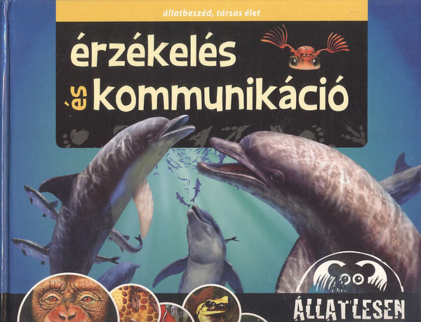 rzkels s kommunikci - llatlesen (3D-s szemveggel)