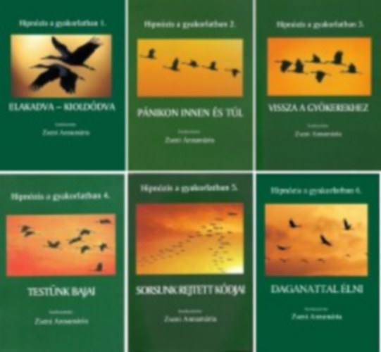 Hipnzis a gyakorlatban 1-6. (Elakadva - kiolddva - Pnikon innen s tl - Vissza a gykerekhez - Testnk bajai - Sorsunk rejtett kdjai - Daganattal lni)