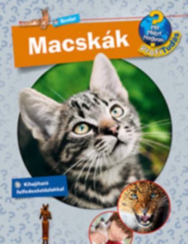 Andrea Schwendemann - Macskk - Mit? Mirt? Hogyan? Profi tuds