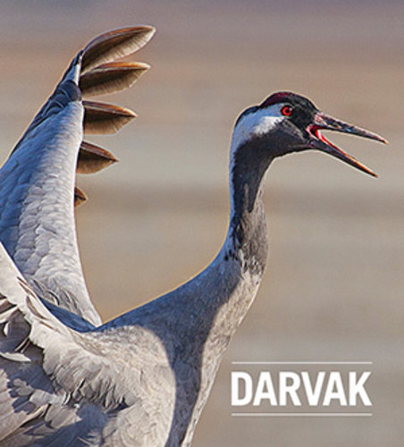 Darvak