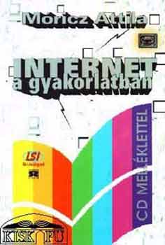 Internet a gyakorlatban