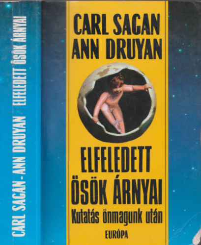 Elfeledett sk rnyai