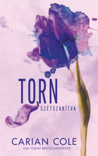 Torn - Sztszaktva