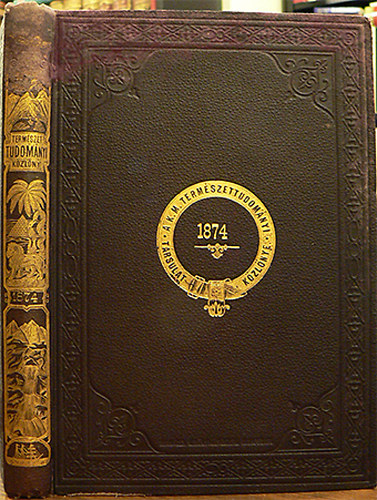 Termszettudomnyi kzlny - Hatodik ktet 53-64. fzet - 1874