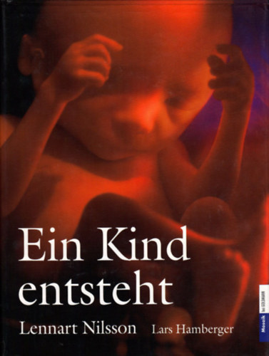 Ein Kind entsteht