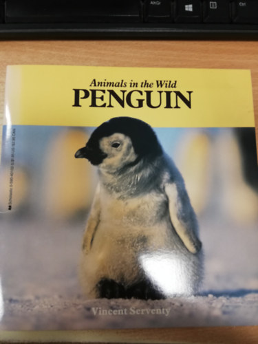 Animals in the Wild - Penguin