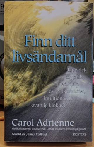Finn ditt livsndamal - upptck dig sjlv med hjlp av synkronicitet, intuition och ovanlig klokhet (Richters)