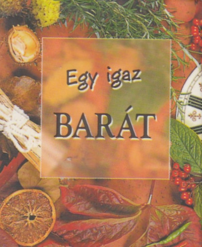 Egy igaz bart (Idzetes knyvecske - miniknyv)