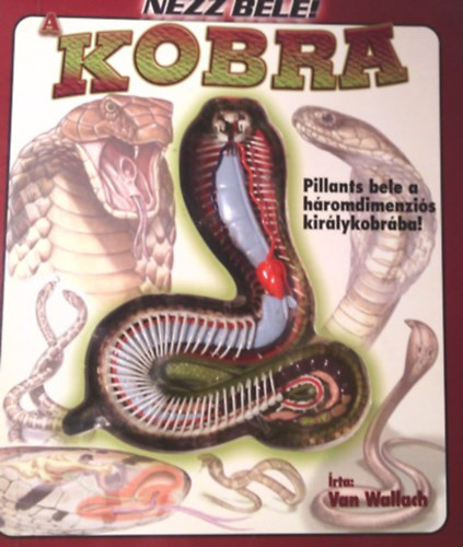 Uncover a Cobra (Nzz bele!- A kobra angol nyelven)