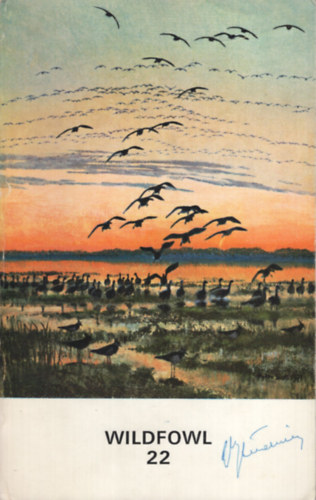 Wildfowl 22