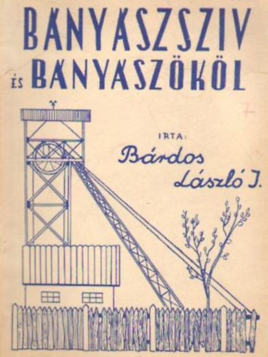 Bnyszszv s bnyszkl