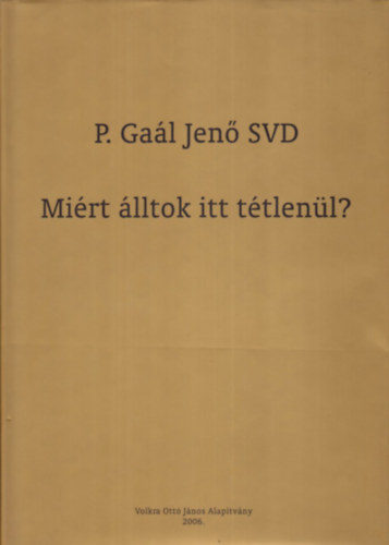 P. Gal Jen SVD - Mirt lltok itt ttlenl? (Elmlkedsek s tantsok)