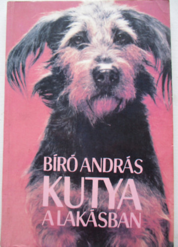 Kutya a laksban