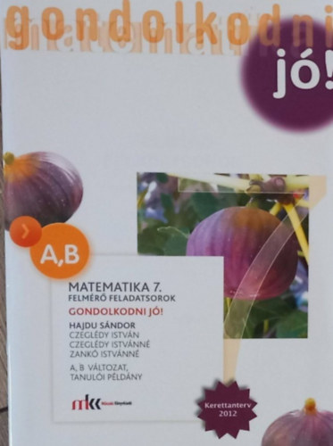 Gondolkodni j! - Felmr feladatsorok Matematika 7. - A,B vltozat, tanuli pldny