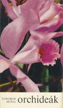 Orchidek