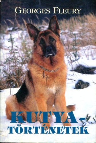 Kutyat�rt�netek
