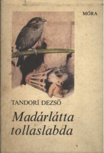 Madrltta tollaslabda