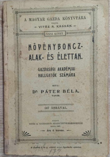 Nvnyboncz-, alak- s lettan (1907)