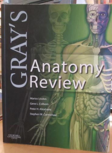 Gray's Anatomy Review