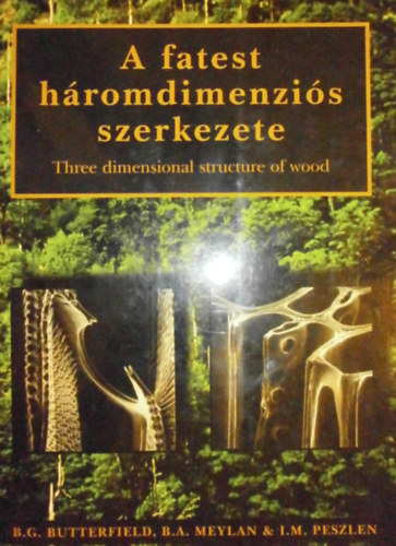 A fatest hromdimenzis szerkezete - Three dimensional structure of wood