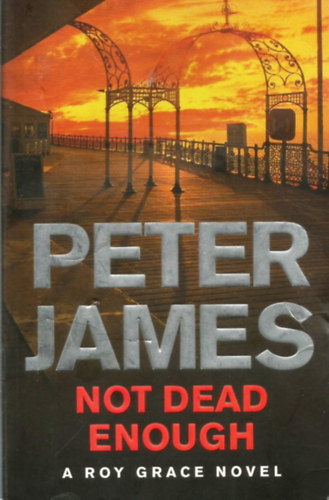 Peter James - Not Dead Enough