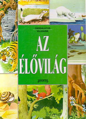 Az lvilg