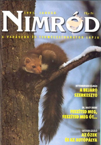 Nimrd 1991 ( Teljes vfolyam  egybektve , 1-12. szm )