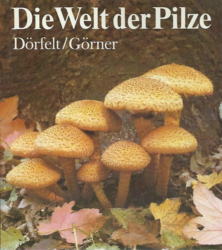 D�rfelt-G�rner - Die welt der Pilze