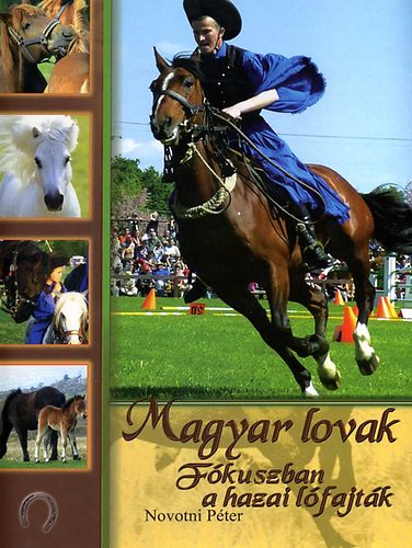 Novotni Péter - Magyar lovak - fókuszban a hazai lófajták