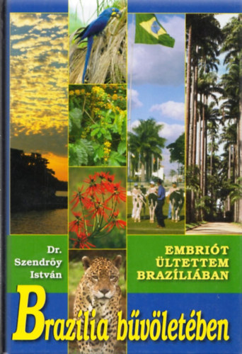 Braz�lia b�v�let�ben