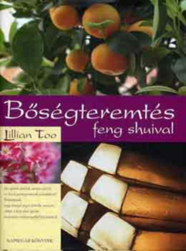 Bsgterms Feng Shuival