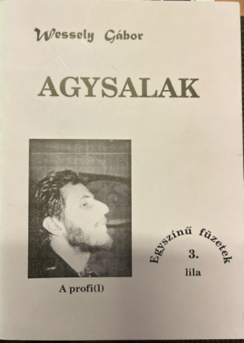 Agysalak - szellemi �g�sterm�kek az ezredv�gi Magyarorsz�gr�l