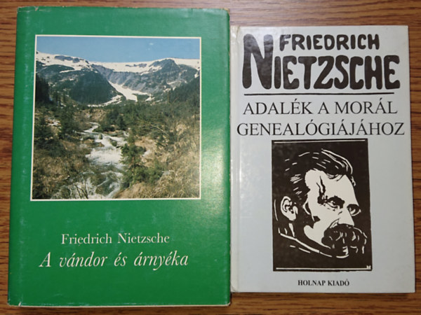 2 knyv Friedrich Nietzschtl: Adalk a morl genealgijhoz, A vndor s rnyka