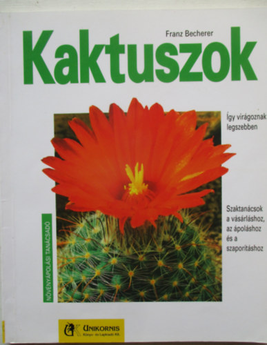 Kaktuszok