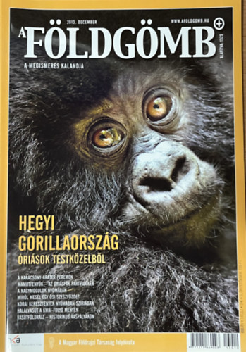 A F�ldg�mb 2013. december
