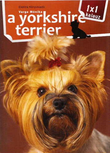 A yorkshire terrier (1x1 kalauz)