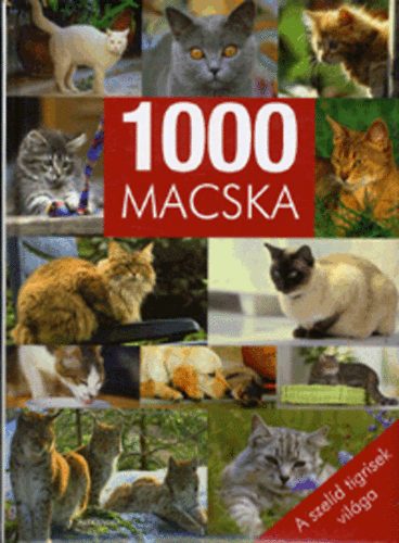 1000 Macska