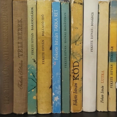10db FEKETE ISTV�N:  T�li berek - Barangol�sok - Ballag� id� - Tarka r�t - Hajnal Bad�nyban - K�d - Bog�ncs - Lutra - T�skev�r - Kittenberger K�lm�n �lete