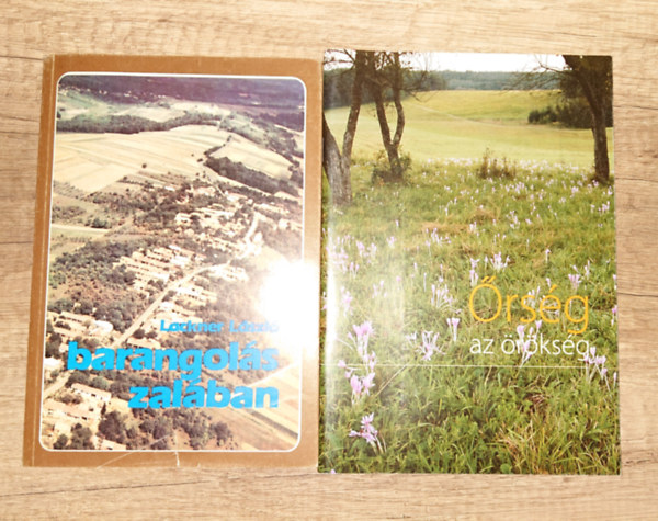 2 �tik�nyv Zal�ba k�sz�l�knek: Barangol�sok Zal�ban, �rs�g - Az �r�ks�g