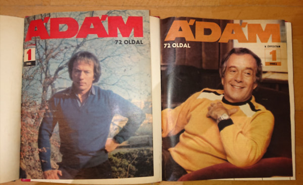 Az dm magazin 1981-es s 1982-es vfolyama egy-egy ktetbe ktve