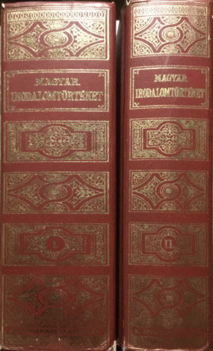 Magyar irodalomtrtnet I-II.