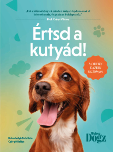 rtsd a kutyd!