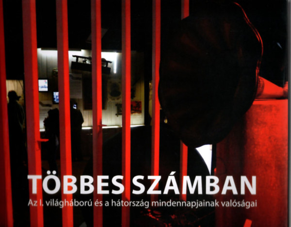 Cssztvay Tnde  (Szerk.) - Tbbes szmban - Az I. vilghbor s a htorszg mindennapjainak valsgai