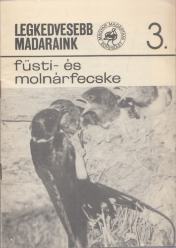 Fsti- s molnrfecske (Legkedvesebb Madaraink 3.)