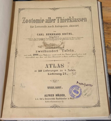 Zootomie aller Thierklassen: fr Lernende, nach Autopsien skizzirt (1881) - Atlas in 50 Lieferungen zu 4 Tafeln - Lieferung 21-30.