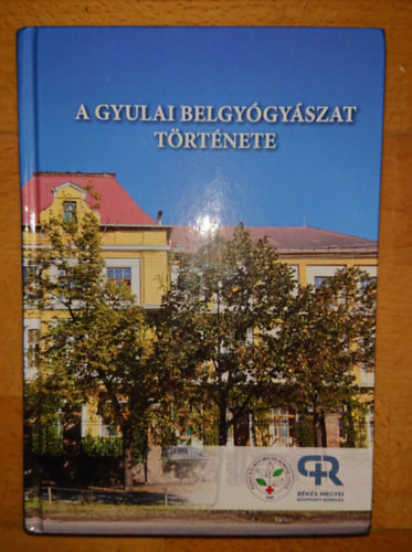 A gyulai belgygyszat trtnete